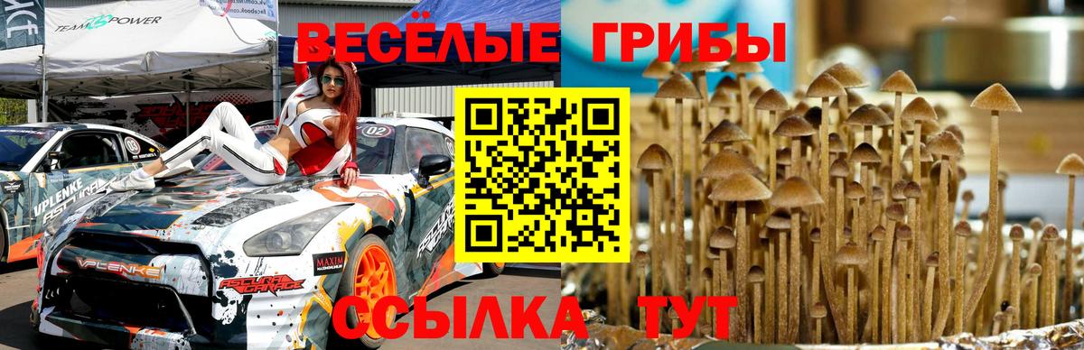 Псилоцибиновые грибы MAGIC MUSHROOMS Богородск